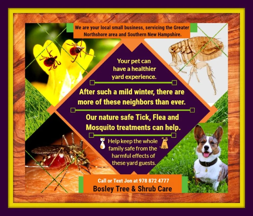 Local landscape design for homes across Groveland, MA - Bosley Tree and Shrub Care