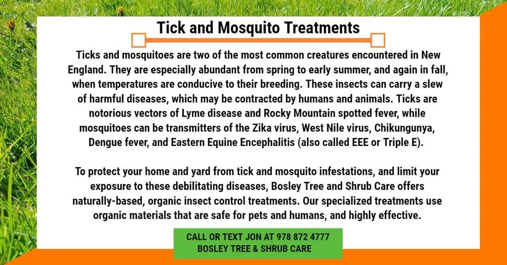 Professional lawn care service experts serving Groveland, MA - Bosley Tree and Shrub Care