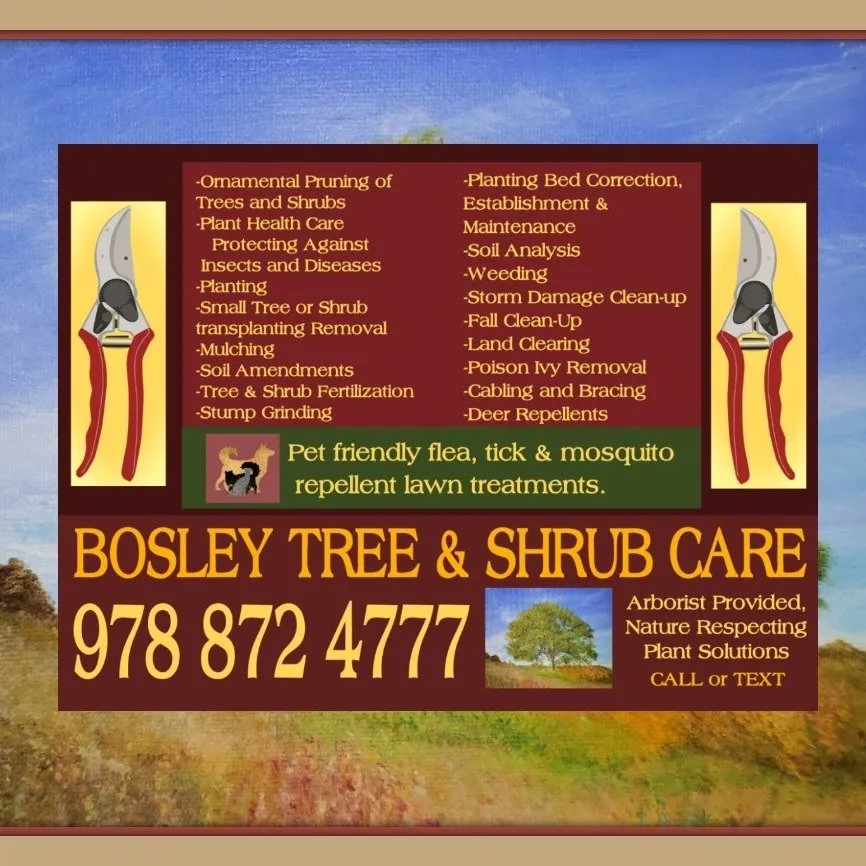 Affordable outdoor landscaping in Groveland, MA - Bosley Tree and Shrub Care