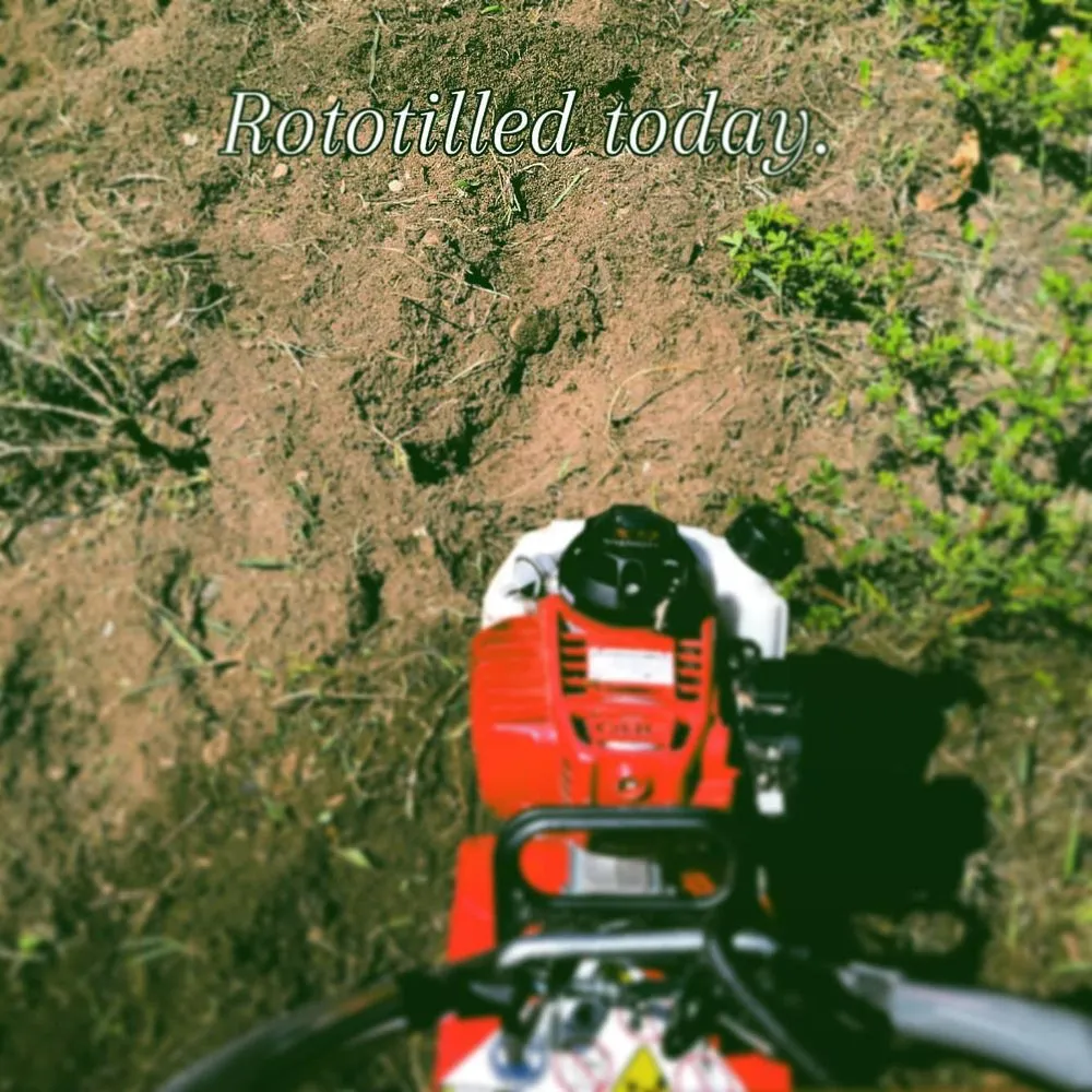 Expert landscaping services experts serving Groveland, MA - Bosley Tree and Shrub Care