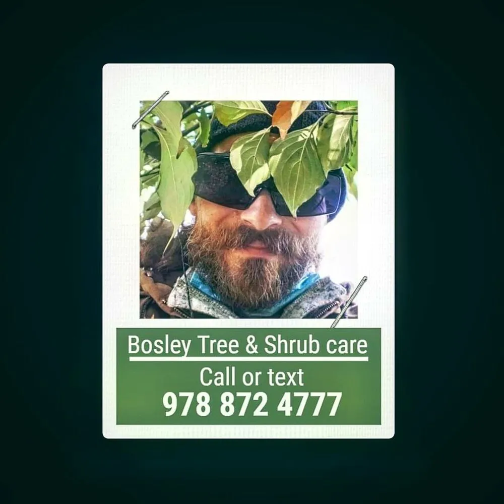 Professional yard maintenance experts serving Groveland, MA - Bosley Tree and Shrub Care