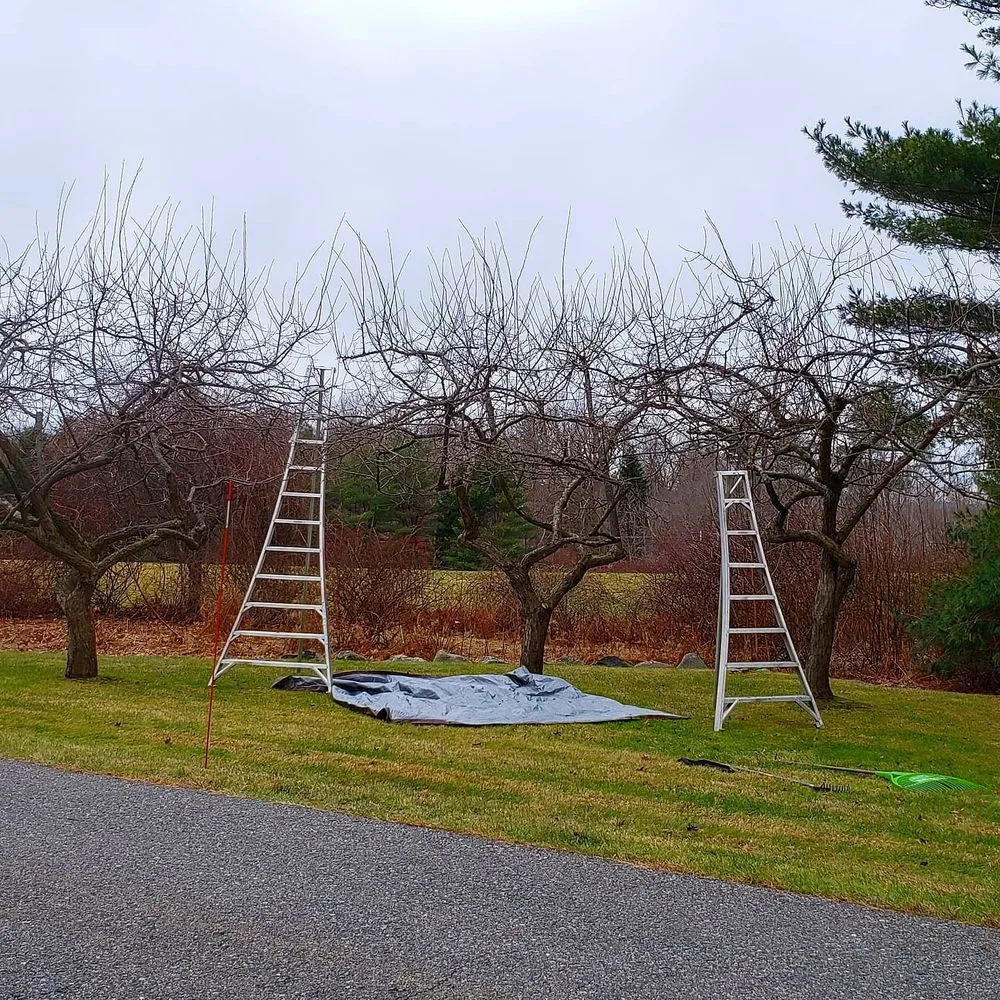 Affordable landscape installation in Groveland, MA by Bosley Tree and Shrub Care