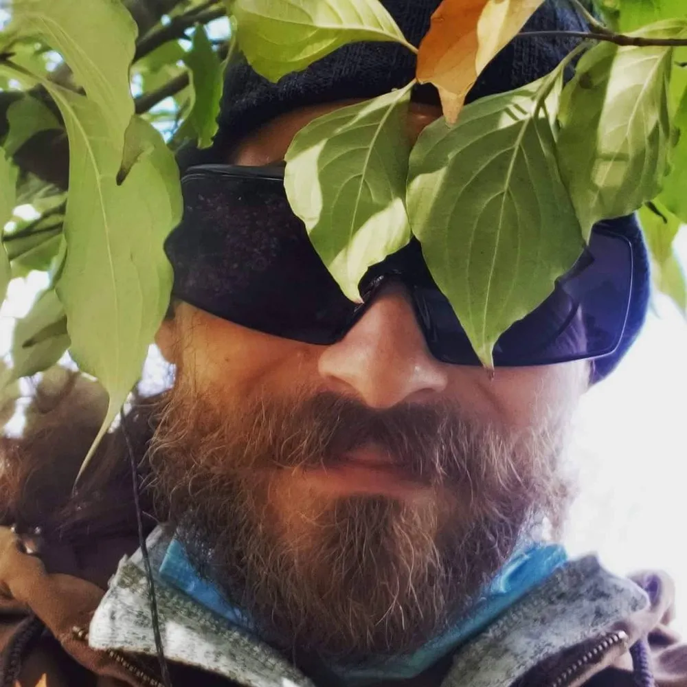 Custom residential landscaping near you in Groveland, MA by Bosley Tree and Shrub Care