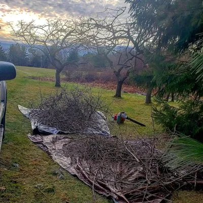 Bosley Tree and Shrub Care