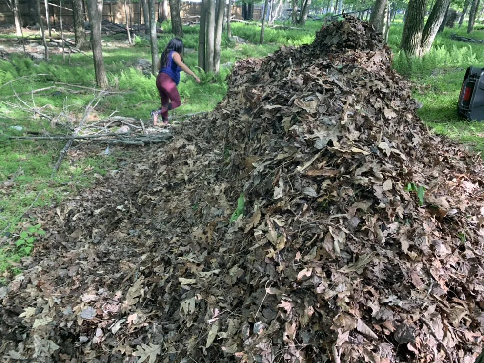 Professional yard cleanup service in Shamokin, PA by Bosnian Landscaper