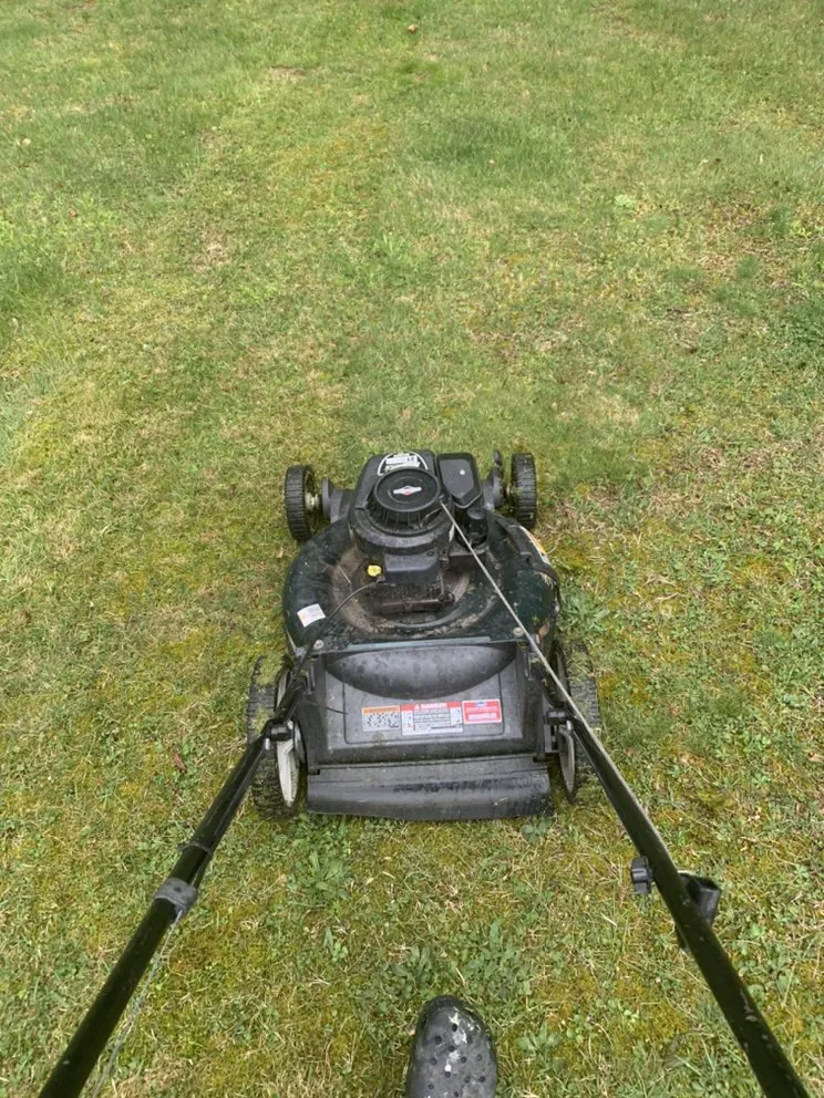 Expert landscape installation for outdoor upgrades across Shamokin, PA - Bosnian Landscaper