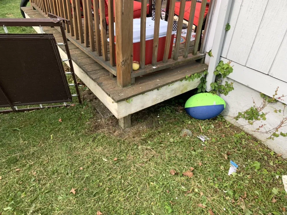 Affordable landscaping services experts serving Shamokin, PA - Bosnian Landscaper