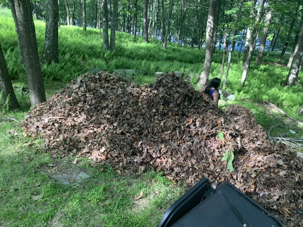 Expert lawn care service experts serving Shamokin, PA - Bosnian Landscaper