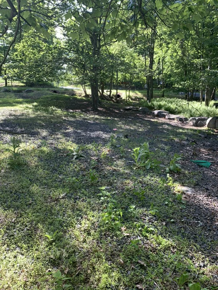 Local residential landscaping experts serving Shamokin, PA - Bosnian Landscaper