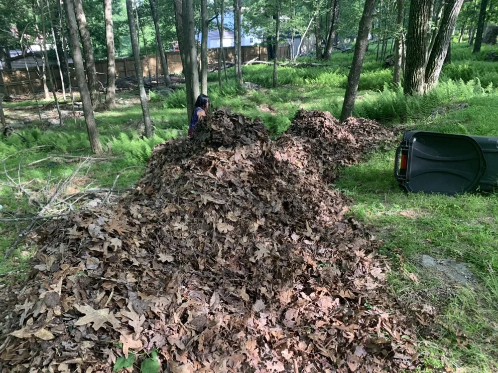 Local yard cleanup service near you across Shamokin, PA - Bosnian Landscaper