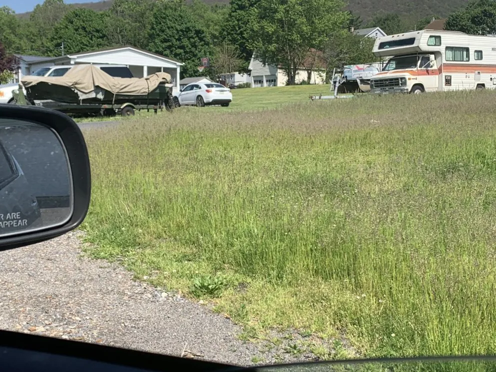 Professional lawn care service for residential properties across Shamokin, PA - Bosnian Landscaper