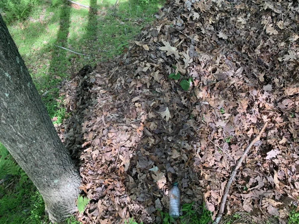 Custom outdoor landscaping for residential properties in Shamokin, PA by Bosnian Landscaper