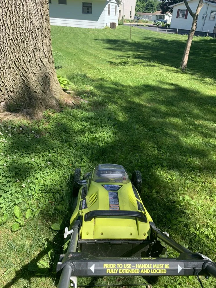 Local lawn care service in Shamokin, PA by Bosnian Landscaper
