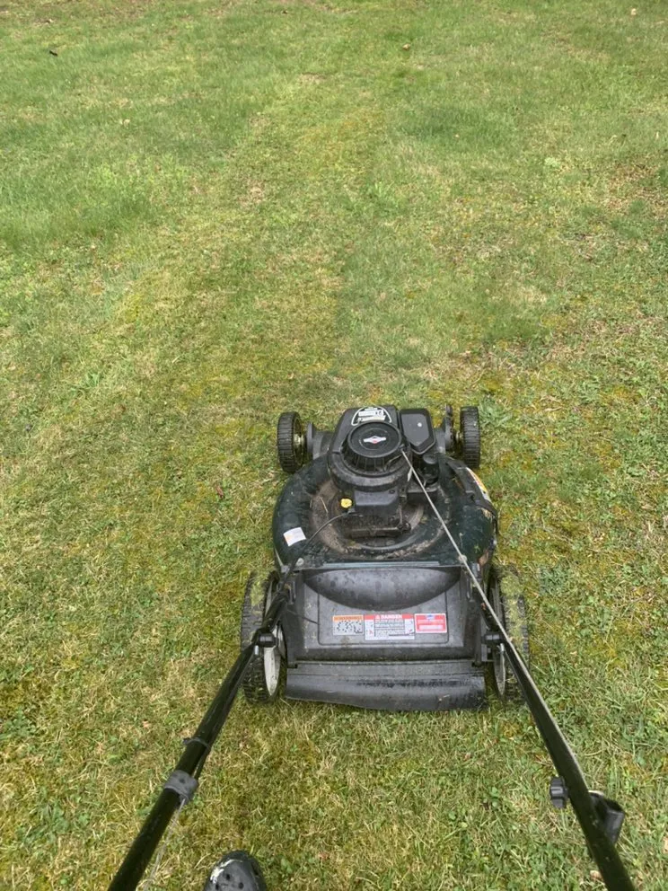 Local landscaping services in Shamokin, PA - Bosnian Landscaper