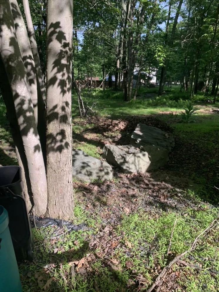 Reliable lawn care service in Shamokin, PA - Bosnian Landscaper