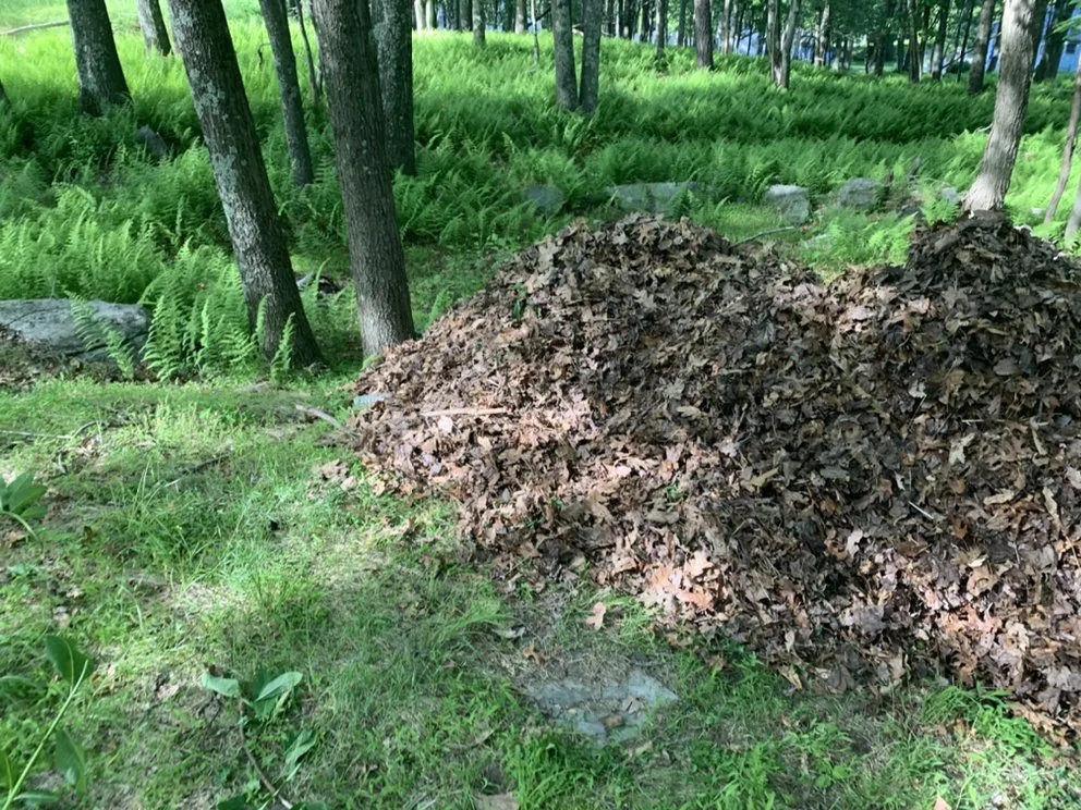 Local residential landscaping for outdoor upgrades across Shamokin, PA - Bosnian Landscaper