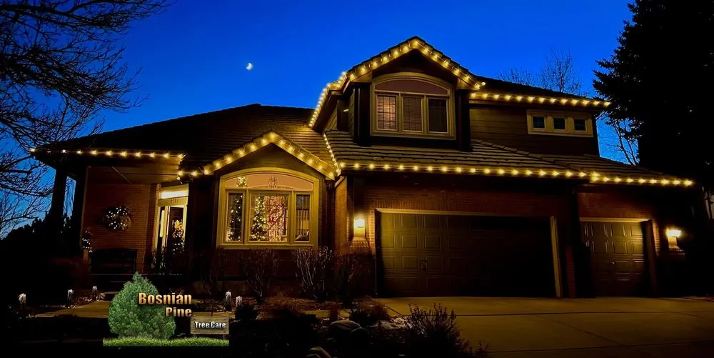 Top-rated lawn mowing service for residential properties across Denver, CO - Bosnian Pine Tree Care And Landscaping