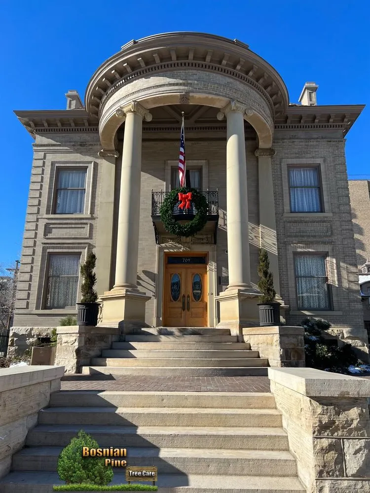 Reliable yard cleanup service for outdoor upgrades in Denver, CO by Bosnian Pine Tree Care And Landscaping