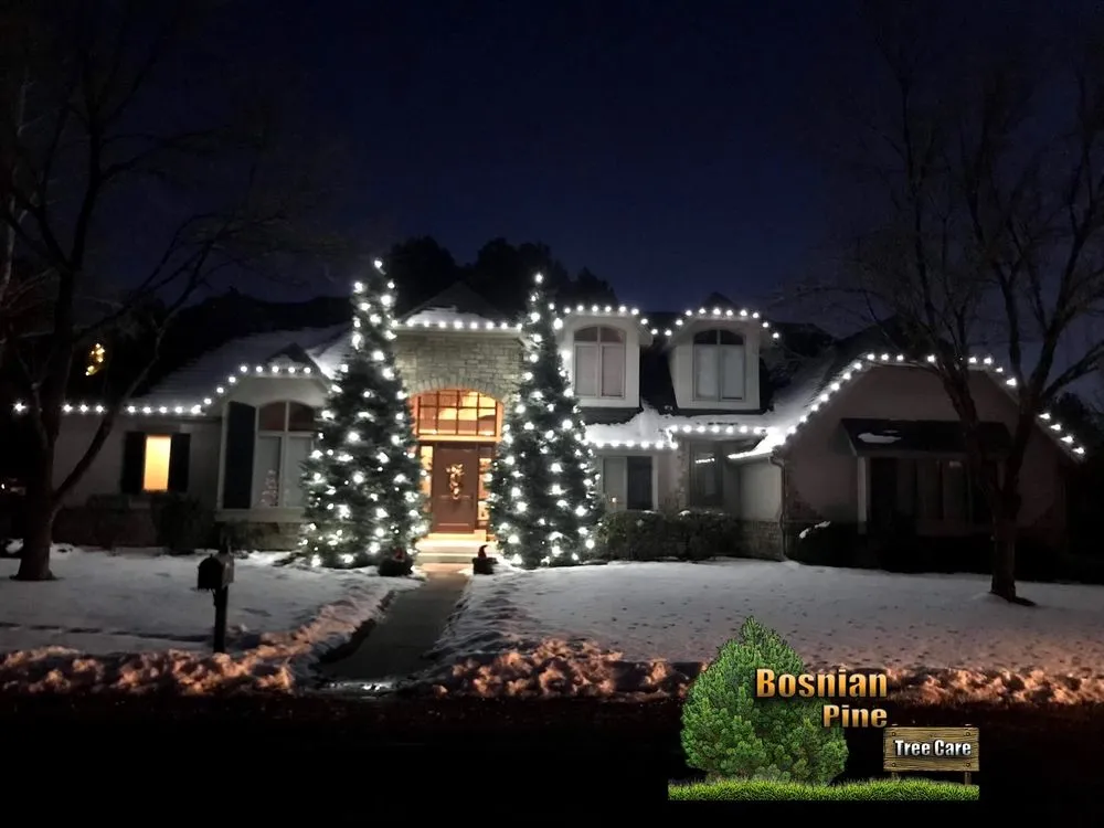 Affordable outdoor landscaping in Denver, CO by Bosnian Pine Tree Care And Landscaping