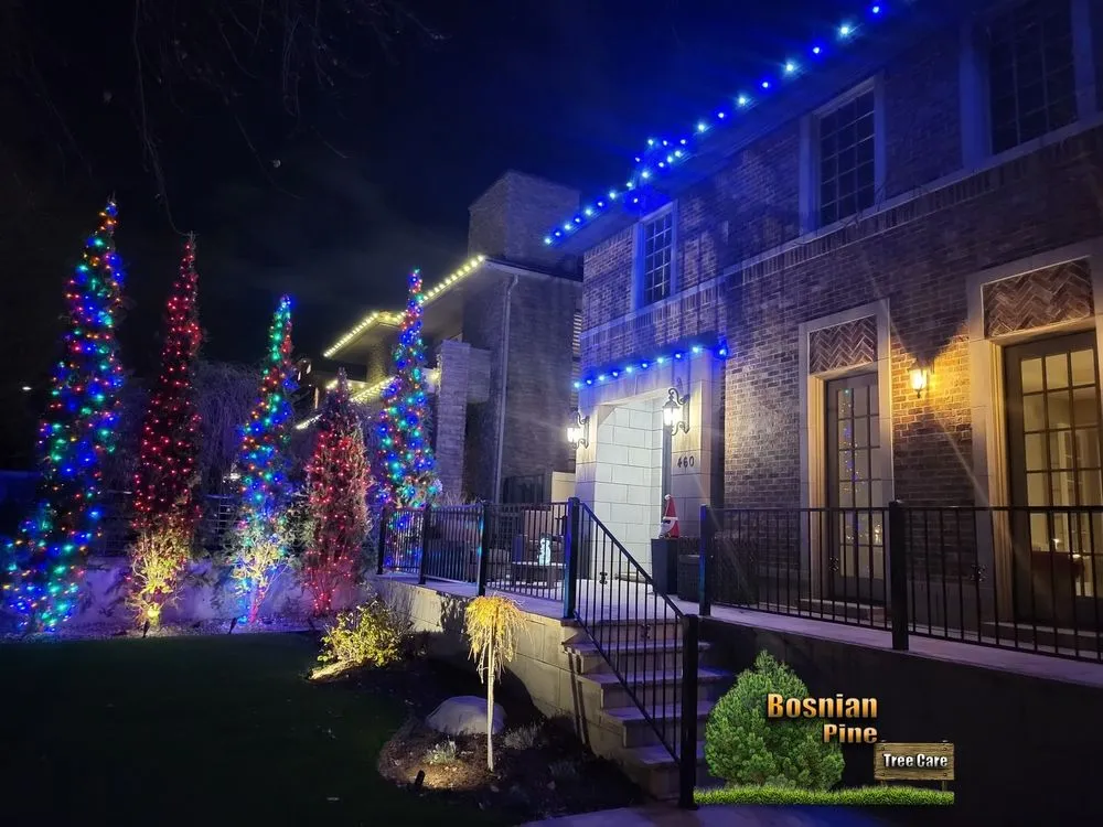 Custom residential landscaping in Denver, CO by Bosnian Pine Tree Care And Landscaping