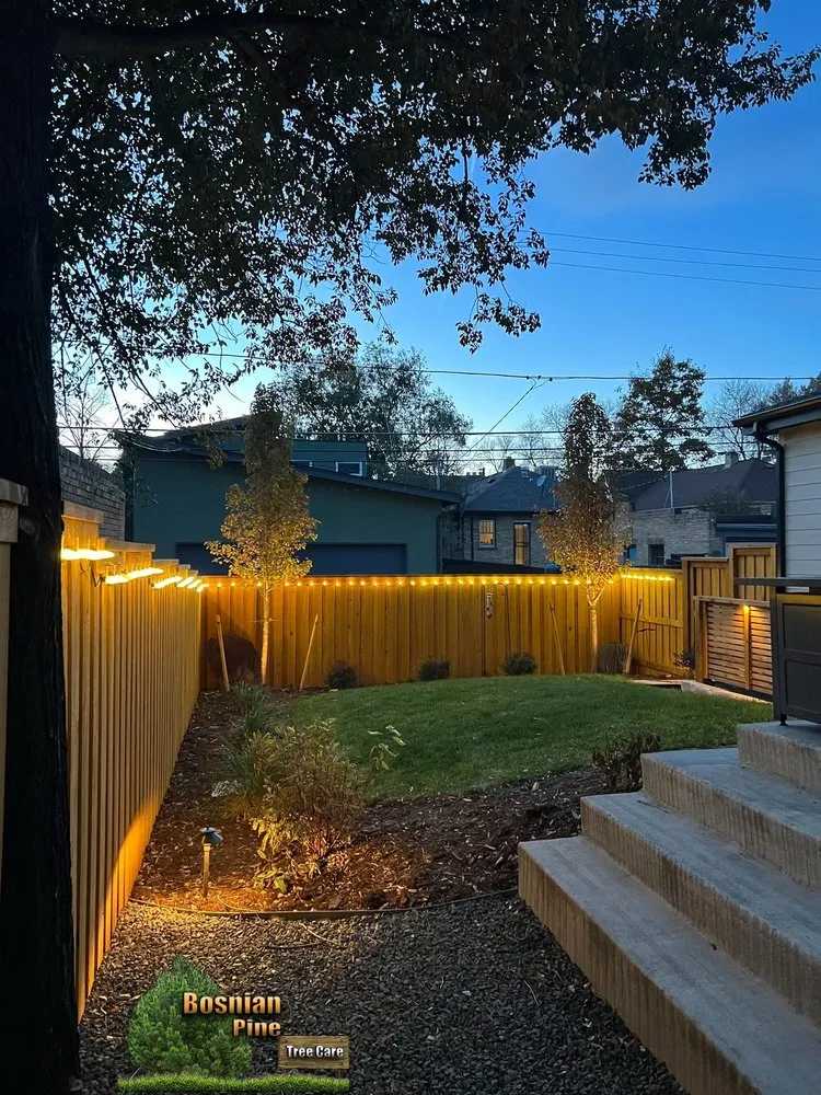 Trusted yard cleanup service in Denver, CO - Bosnian Pine Tree Care And Landscaping