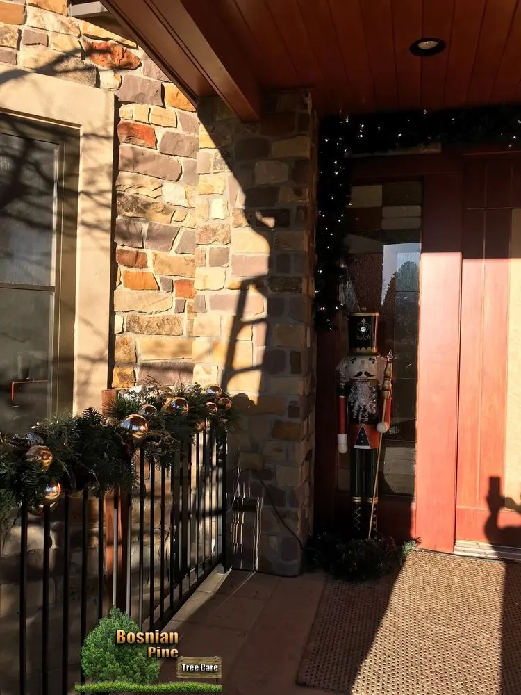 Expert lawn mowing service in Denver, CO by Bosnian Pine Tree Care And Landscaping