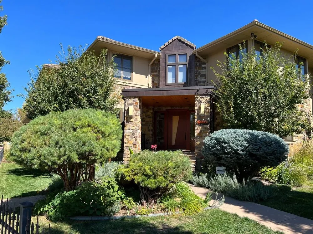 Custom yard cleanup service in Denver, CO - Bosnian Pine Tree Care And Landscaping