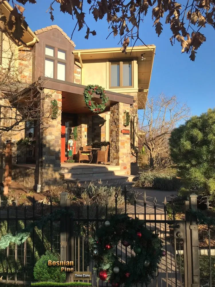 Affordable yard maintenance near you in Denver, CO by Bosnian Pine Tree Care And Landscaping