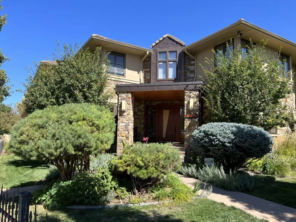 Professional residential landscaping in Denver, CO - Bosnian Pine Tree Care And Landscaping