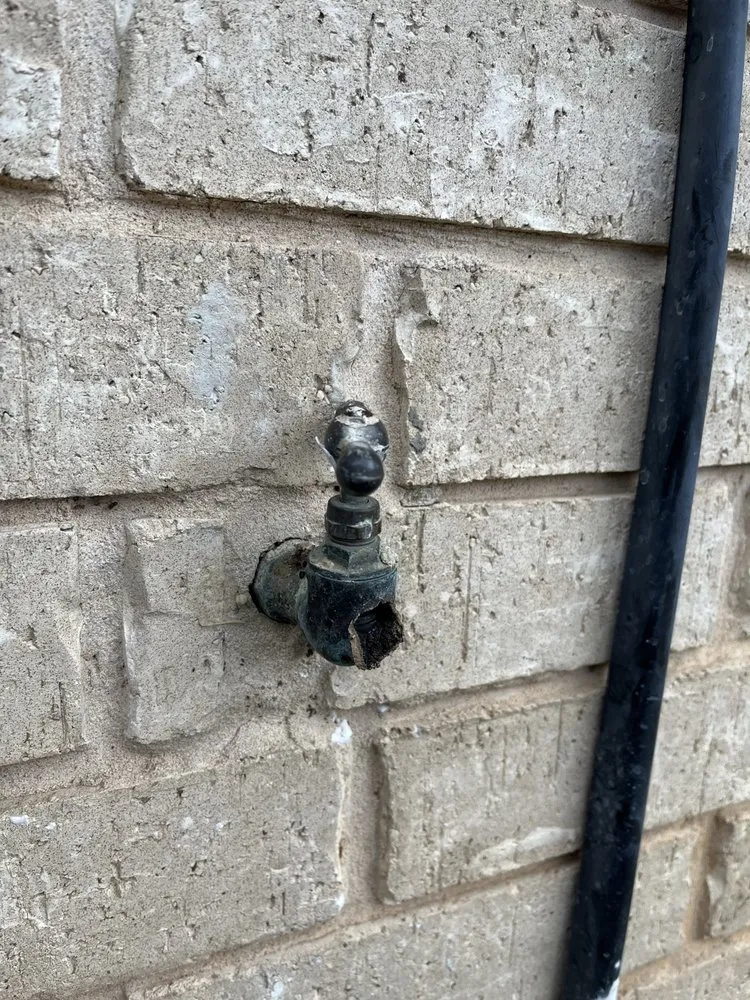 Trusted landscaping services in Waco, TX - Bosque Construction