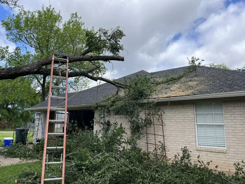 Custom garden landscaping near you in Waco, TX by Bosque Construction