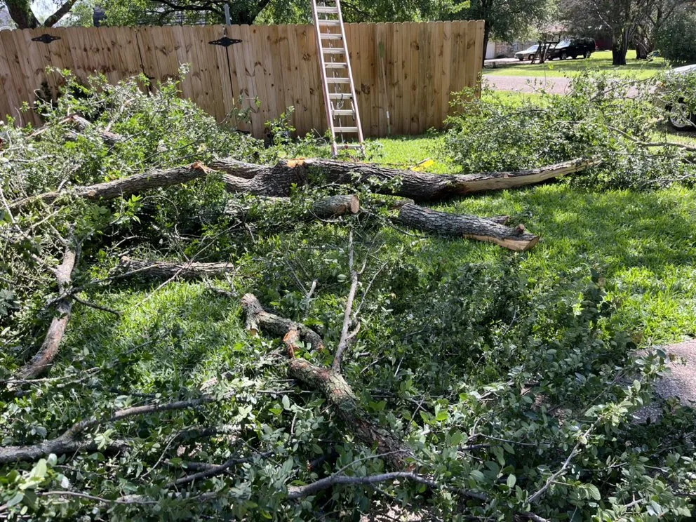 Custom outdoor landscaping experts serving Waco, TX - Bosque Construction