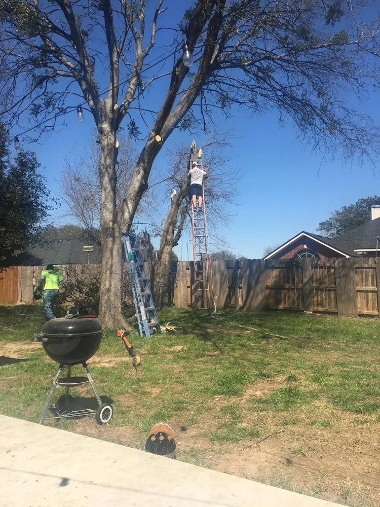 Local yard cleanup service experts serving Waco, TX - Bosque Construction