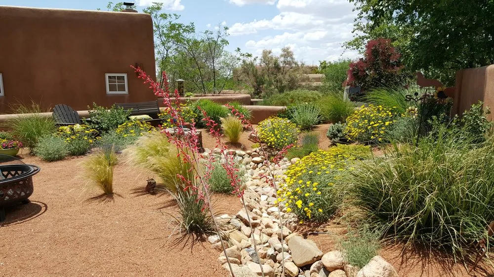Affordable landscape design for beautiful yards across Santa Fe, NM - Bosque Natural