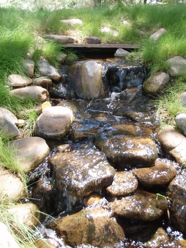 Top-rated landscape installation in Santa Fe, NM by Bosque Natural