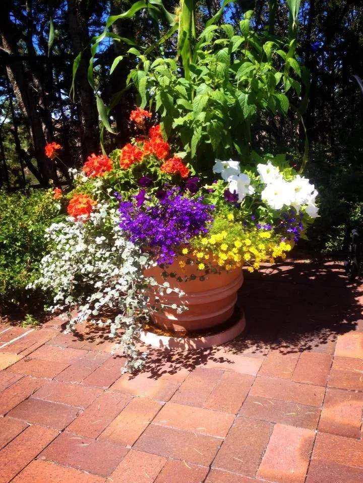 Top-rated landscape installation for beautiful yards in Santa Fe, NM by Bosque Natural