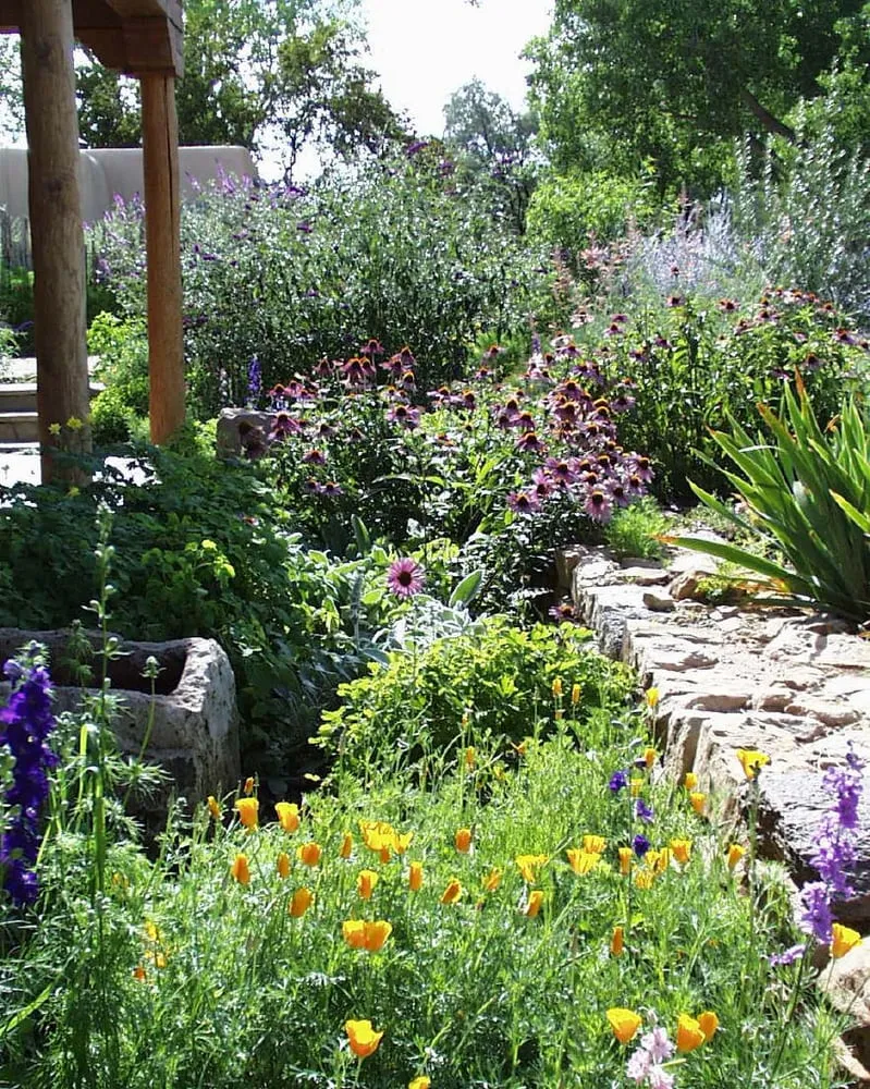 Expert lawn care service near you in Santa Fe, NM by Bosque Natural