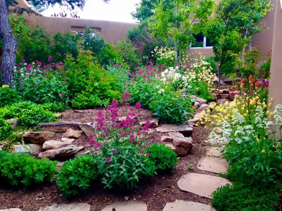 Professional landscape design for outdoor upgrades across Santa Fe, NM - Bosque Natural