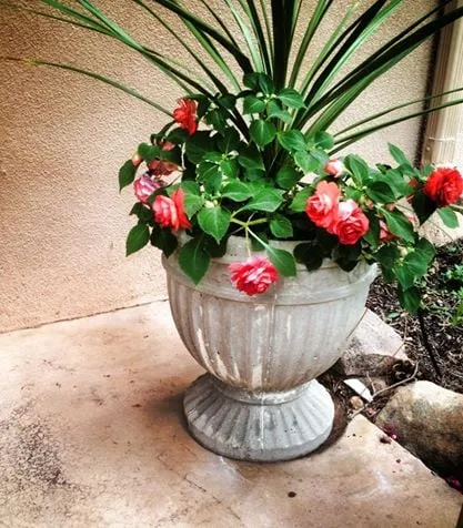 Top-rated garden landscaping experts serving Santa Fe, NM - Bosque Natural