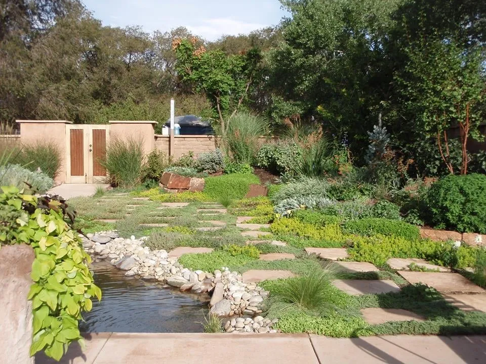 Top-rated yard maintenance in Santa Fe, NM by Bosque Natural