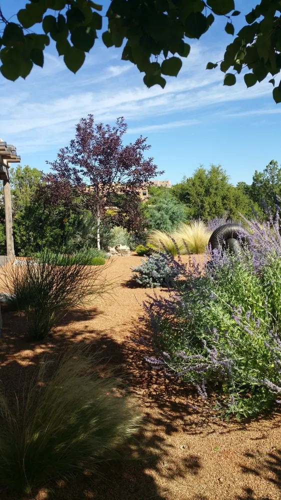 Top-rated garden landscaping for homes across Santa Fe, NM - Bosque Natural