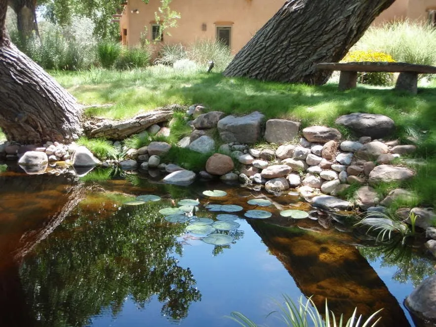Trusted yard cleanup service with custom design in Santa Fe, NM by Bosque Natural