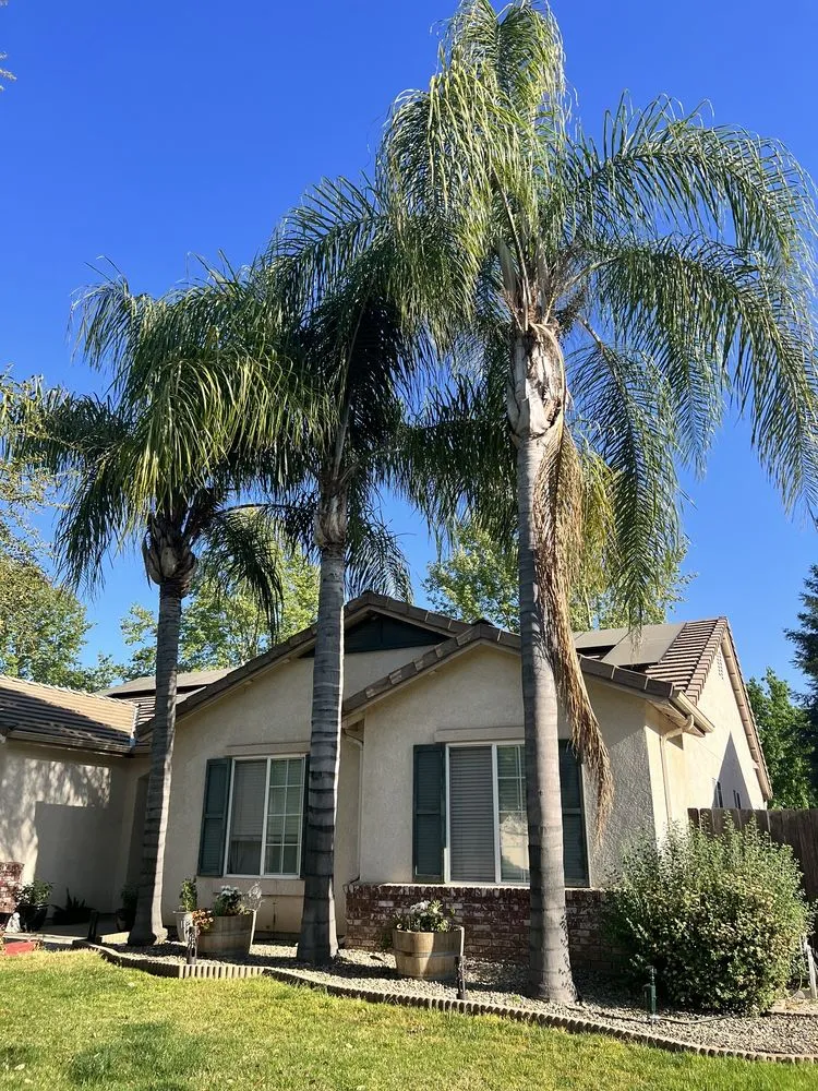 Local landscape design for homes across Porterville, CA - Bosquez Landscaping & Junk Removal