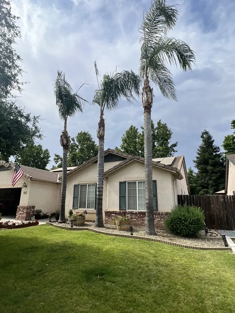 Reliable yard cleanup service experts serving Porterville, CA - Bosquez Landscaping & Junk Removal