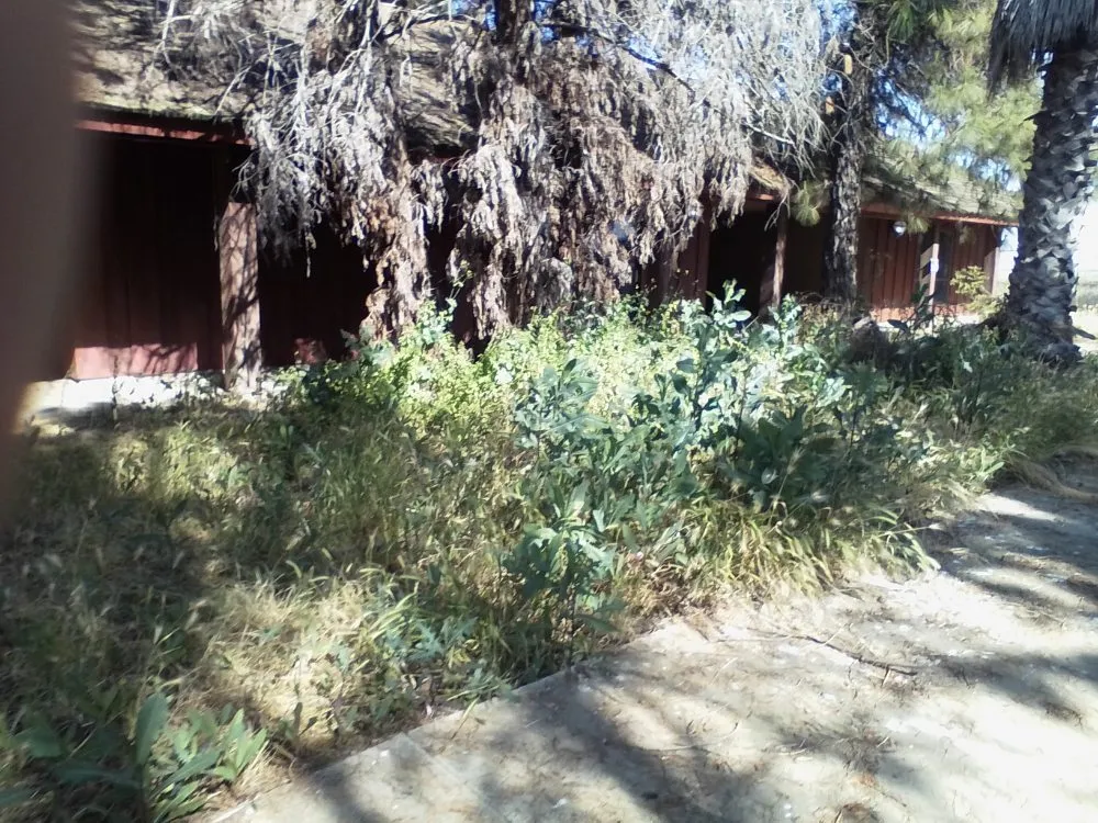 Top-rated landscape design in Porterville, CA - Bosquez Landscaping & Junk Removal