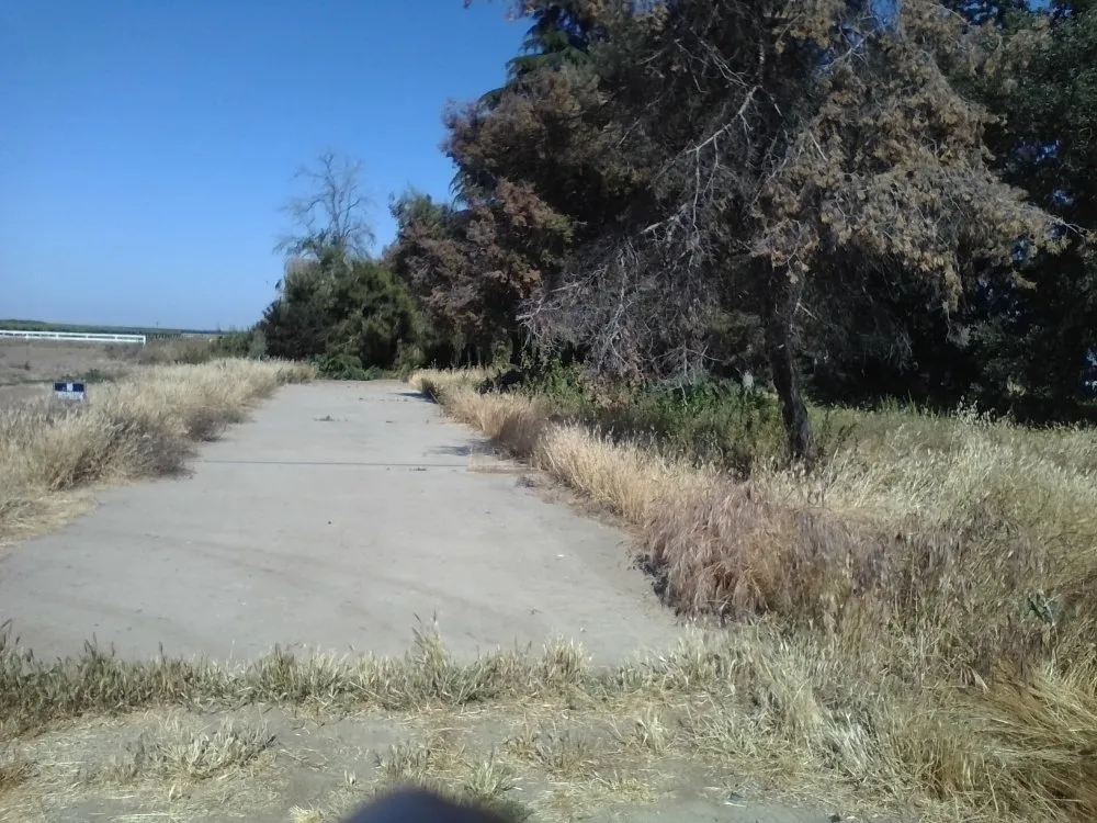 Expert outdoor landscaping in Porterville, CA - Bosquez Landscaping & Junk Removal