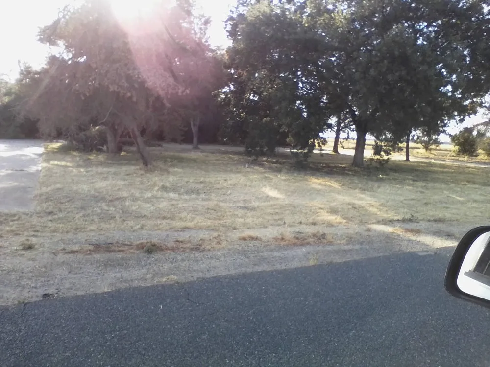 Affordable yard cleanup service experts serving Porterville, CA - Bosquez Landscaping & Junk Removal