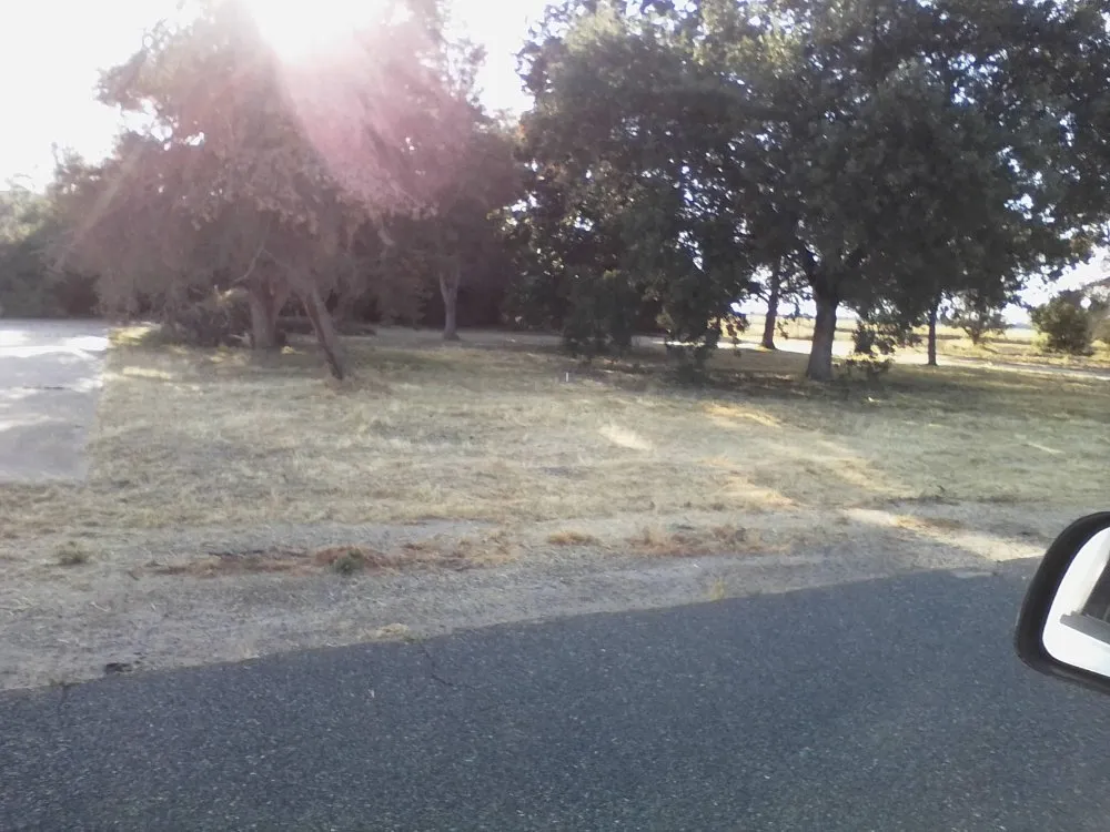 Reliable lawn mowing service in Porterville, CA - Bosquez Landscaping & Junk Removal