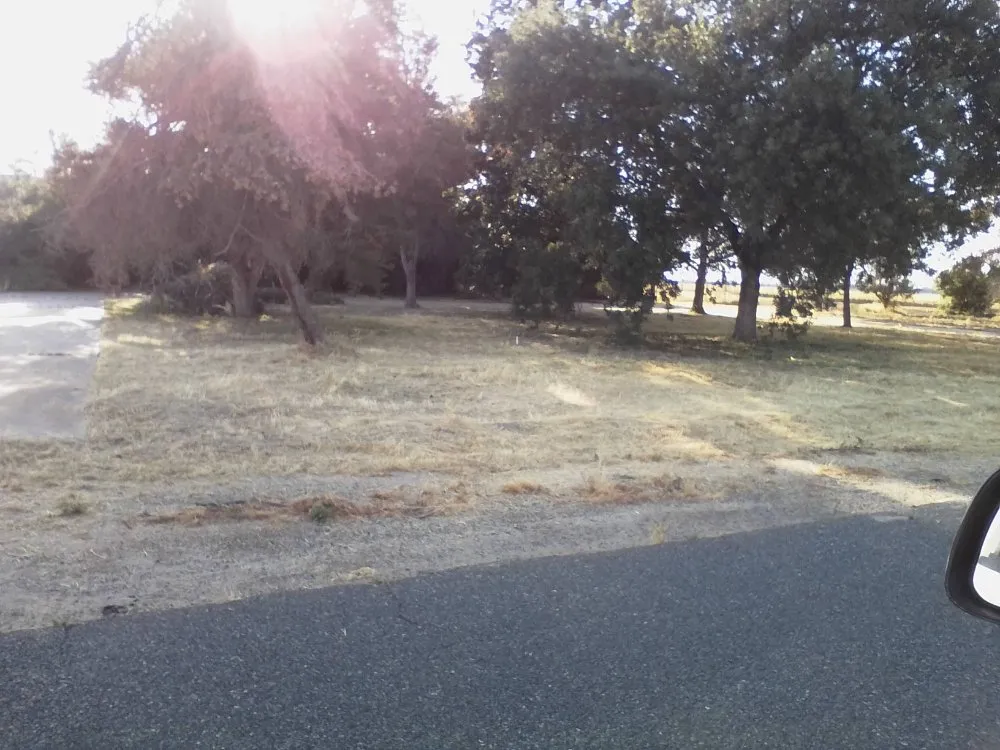 Trusted yard maintenance in Porterville, CA - Bosquez Landscaping & Junk Removal