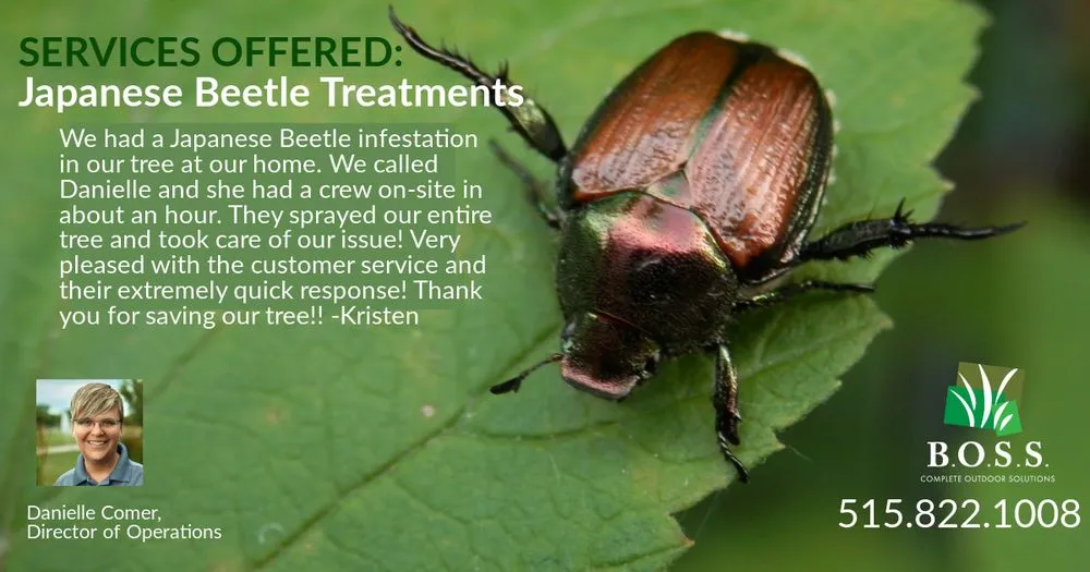 Custom outdoor landscaping in Johnston, IA - BOSS Complete Outdoor Solutions